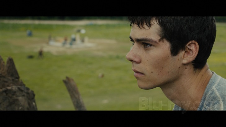 the maze runner whysoblu 4 at Why So Blu?