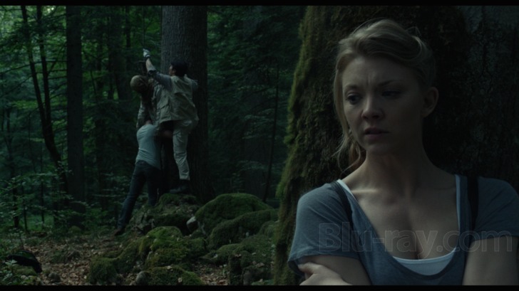 The Forest Blu Ray Release Date April 12 16 Blu Ray Digital Hd