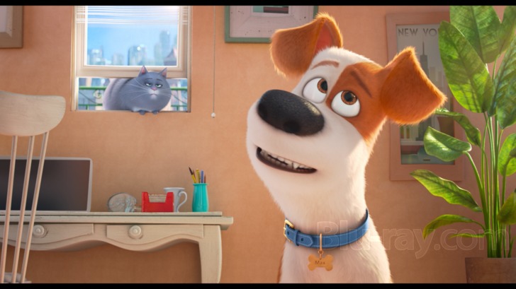 The Secret Life of Pets' Review