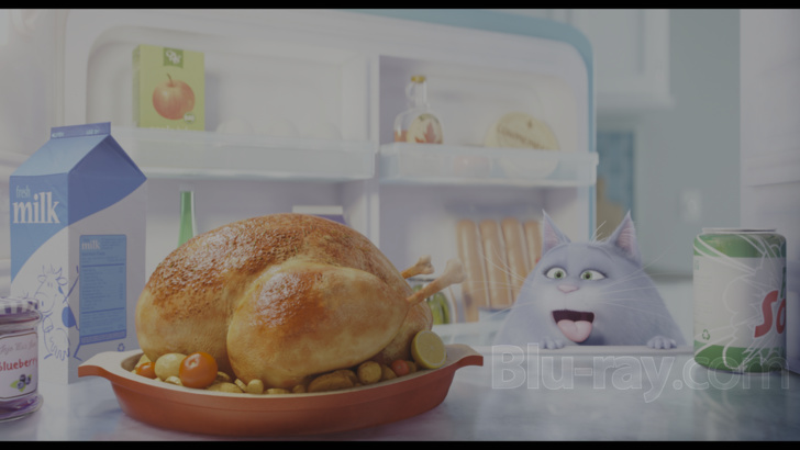 The Secret Life of Pets 4K Blu-ray (4K Ultra HD + Blu-ray + Digital 4K)