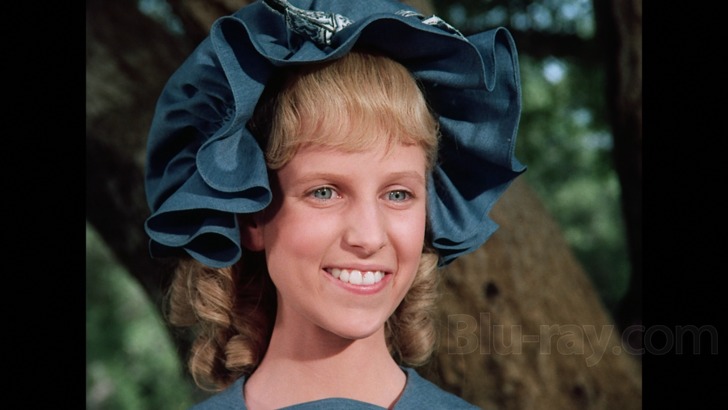 little house on the prairie complete series+vudu