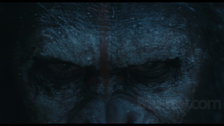 Dawn Of The Planet Of The Apes 4k Blu Ray Release Date June 13