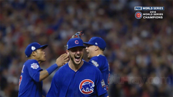 Chicago Cubs 2016 World Series Champions DVD