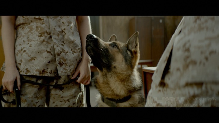 Megan Leavey Blu-ray (Blu-ray + DVD + Digital HD)