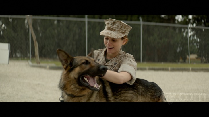 Megan Leavey: Marine Bonds With Combat Dog in Dramatic Documentary