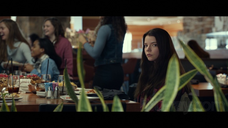 Split  Anya Taylor-Joy vs. the Beast in 4K HDR 