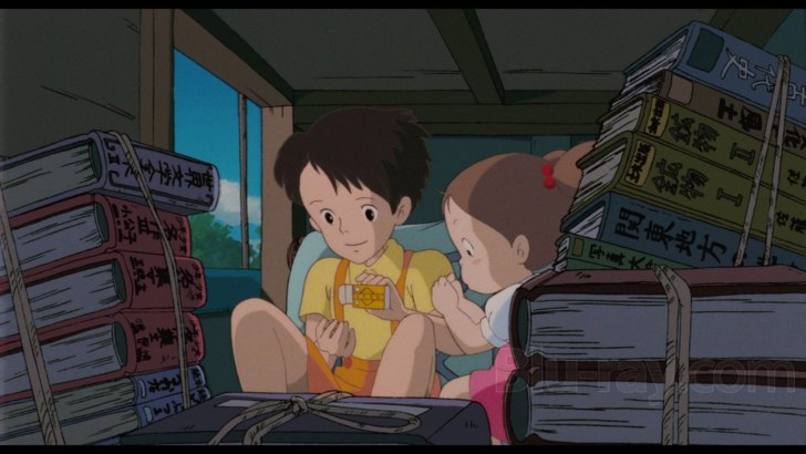Mon voisin Totoro + Pompoko - Pack - DVD Zone 2