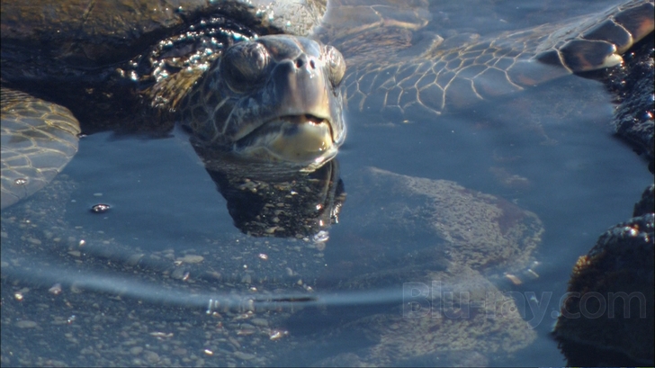 Scenic National Parks: Alaska and Hawaii Blu-ray