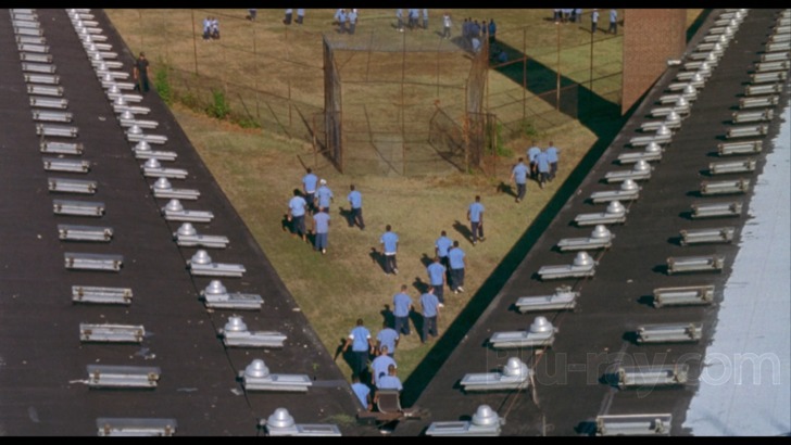 Animal Factory Plot Animal Factory Blu-ray (Special Edition)