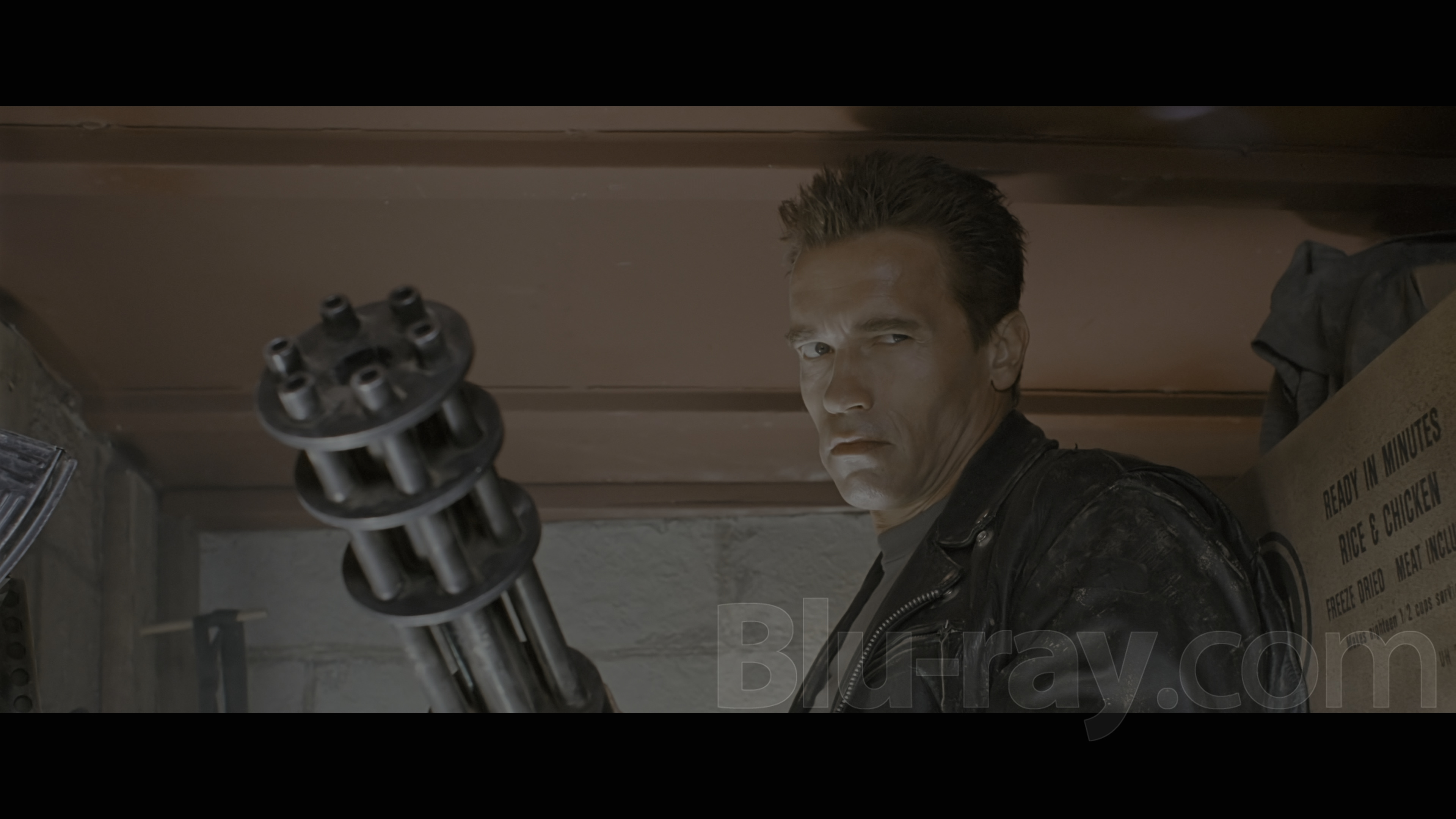 Terminator 2: Judgment Day 4K UHD (1991) - Page 658 - Blu-ray Forum