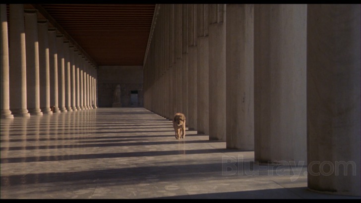 for the love of benji