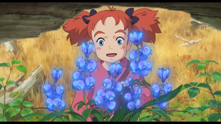 Mary And The Witch S Flower Blu Ray メアリと魔女の花 Meari To Majo No Hana