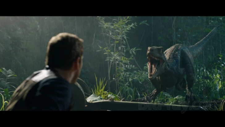 Jurassic World Fallen Kingdom T-REX 3D Display