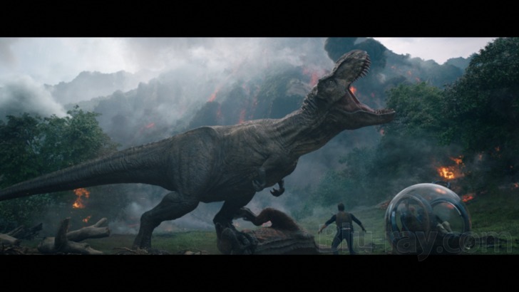 Jurassic World Fallen Kingdom T-REX 3D Display