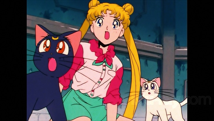 Sailor Moon S: Season 3, Part 1 Blu-ray (Blu-ray + DVD)