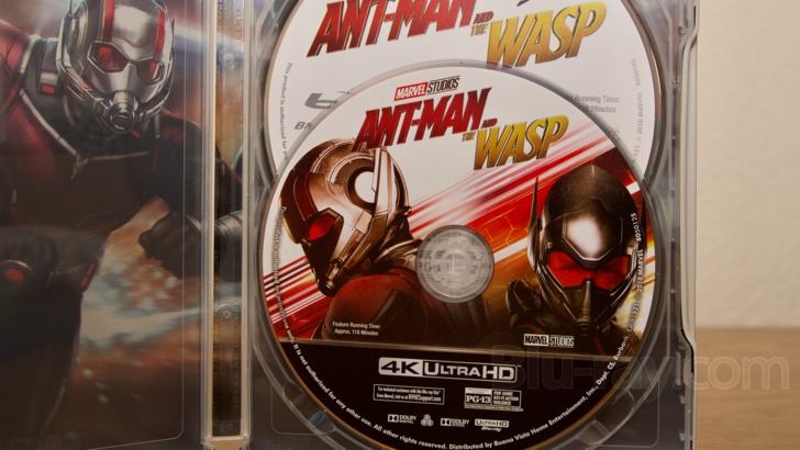  Ant-Man and the Wasp [Blu-ray] [2018] : Movies & TV