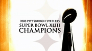 : NFL Super Bowl XLIII: Pittsburgh Steelers Champions DVD : Mike  Tomlin, Santonio Holmes, Ben Roethlisberger, James Harrison: Movies & TV