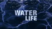 Water Life: The Big Blue Blu-ray