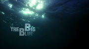 Water Life: The Big Blue Blu-ray