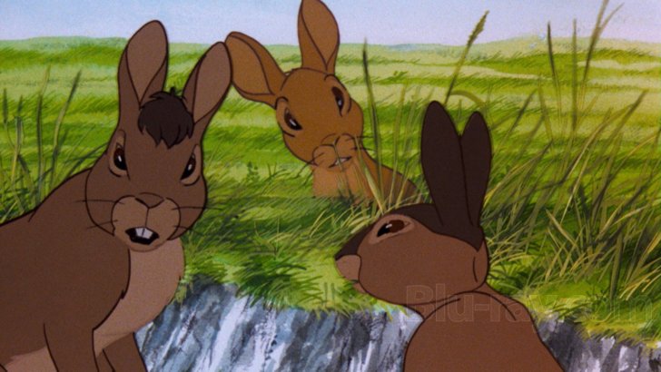 Watership Down Blu-ray (Australia)