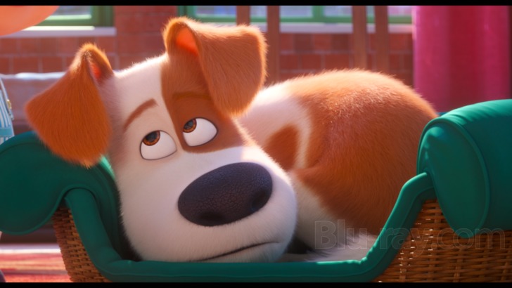 The Secret Life of Pets' Review