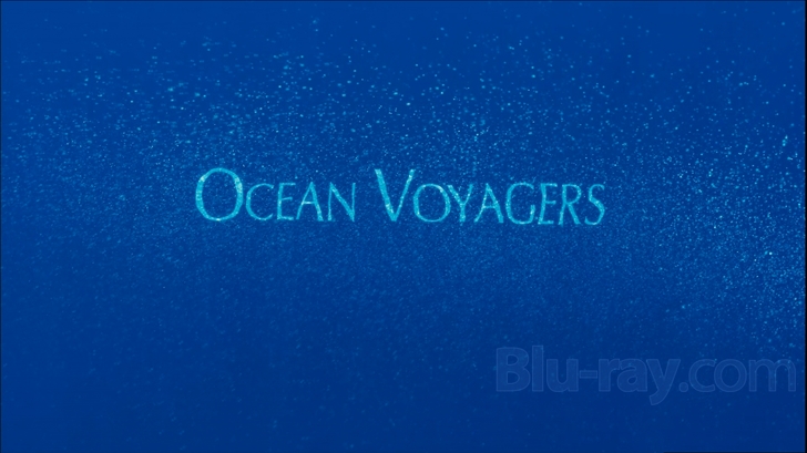 その他 Ocean Voyagers [Blu-ray] Ocean Voyagers Blu-ray