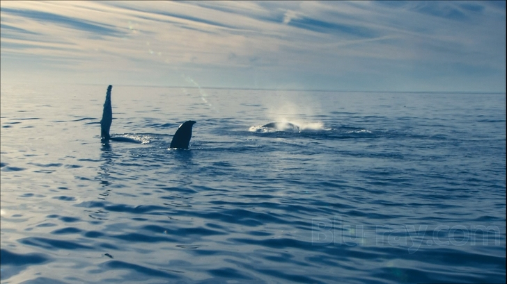 Ocean Voyagers Blu-ray
