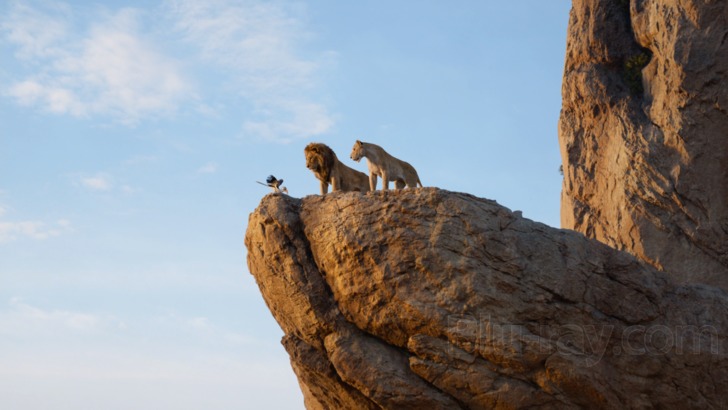 the lion king cliff
