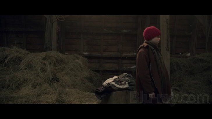 The Parts You Lose Blu-ray