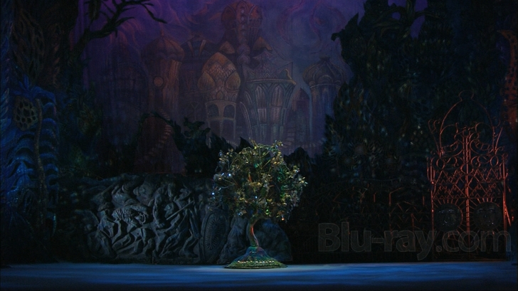 その他 Firebird / Rite of Spring [Blu-ray] [Import] khxv5rg Budapest Festival Orchestra, John Ringer, Igor Stravinsky