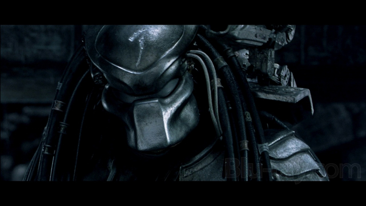 Alien vs. Predator (2004) KILL COUNT 