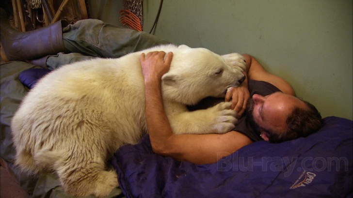 Knut Streaming Knut and Friends Blu-ray (Knut und seine Freunde)