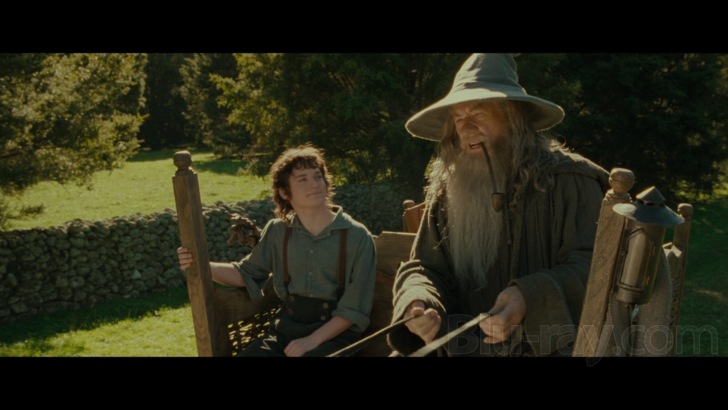 Lord of the Rings: The Fellowship of the Ring, The (1/2) (Comparison:  Theatrical Version - Extended Version (Disc 1)) 