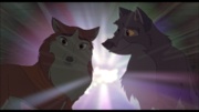 Balto 3-Movie Family Fun Pack DVD (Balto / Balto II: Wolf Quest