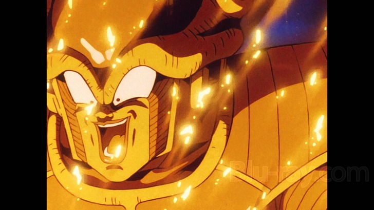 Dragon Ball Z: Dragon Box 1 Review