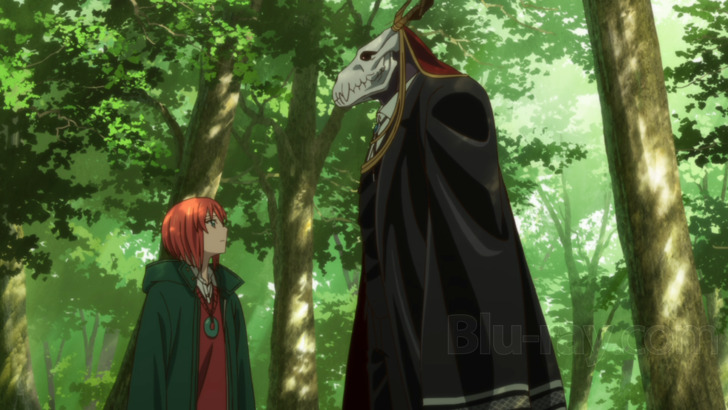 The Ancient Magus' Bride: Those Awaiting a Star Part 2 (Short 2017) - IMDb
