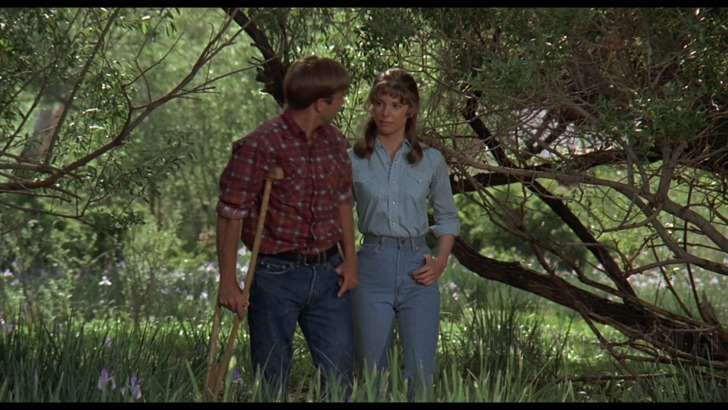The Other Side of the Mountain Blu-ray