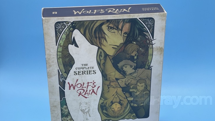 美品　WOLF'S RAIN ウルフズレイン DVD セル版　全10巻セット