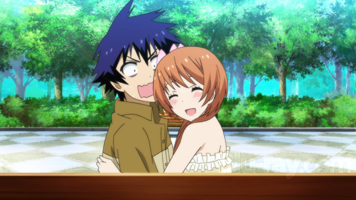 Nisekoi: False Love (Anime) –