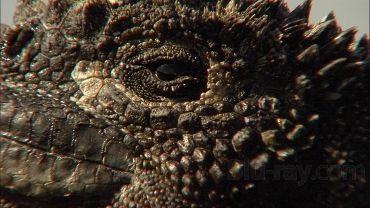 Equator: Power of an Ocean Blu-ray