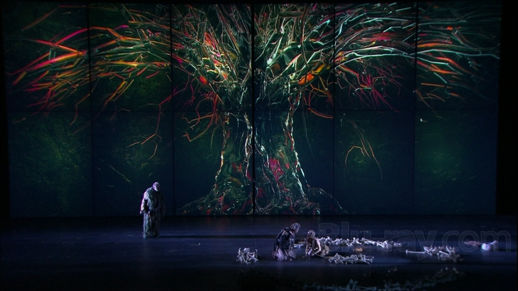 Wagner: Die Walkure Blu-ray (Staged by La Fura Dels Baus)
