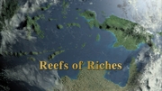 その他 Equator: Reefs of Riches [Blu-ray] Amazon.com: Equator: Reef of Riches [Blu-ray] : Narrated