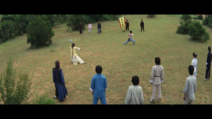 Cinematic Vengeance: 8 Kung Fu Classics from Director Joseph Kuo