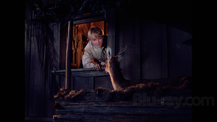 The Yearling Blu-ray (Warner Archive Collection) The Yearling Blu-ray (Warner Archive Collection)