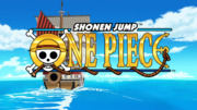 One Piece Collection 30 BLURAY/DVD SET (Eps # 720-746) (Uncut)