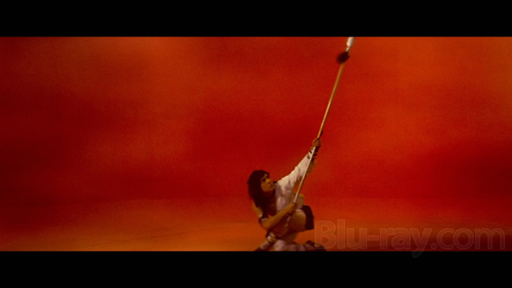 Snake and Crane Arts of Shaolin Blu-ray (蛇鶴八步 / She he ba bu)