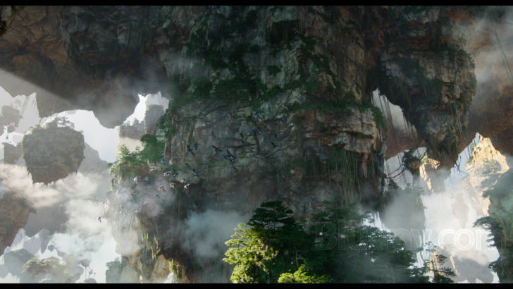 Movie Review - 'Avatar' - Big-Picture Visions, Stirringly Realized