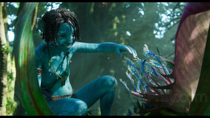 Avatar: The Way of Water 4K Blu-ray (DigiPack)
