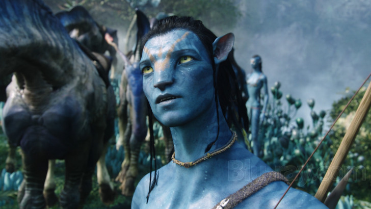 Avatar Gets 4K Ultra HD BluRay Release for the First Time
