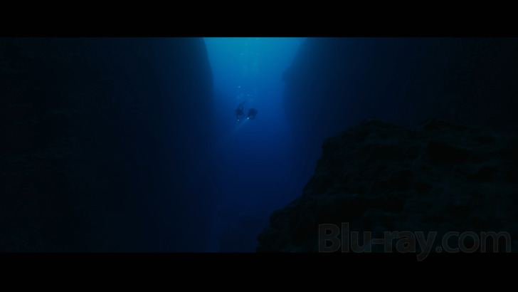 The Dive Blu-ray